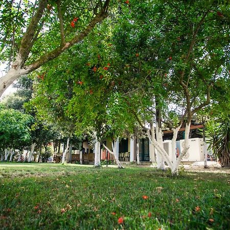 Agriturismo Archelao Oristano Eksteriør bilde