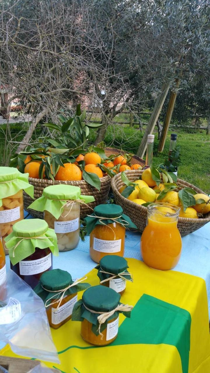 Agriturismo Archelao Oristano Eksteriør bilde